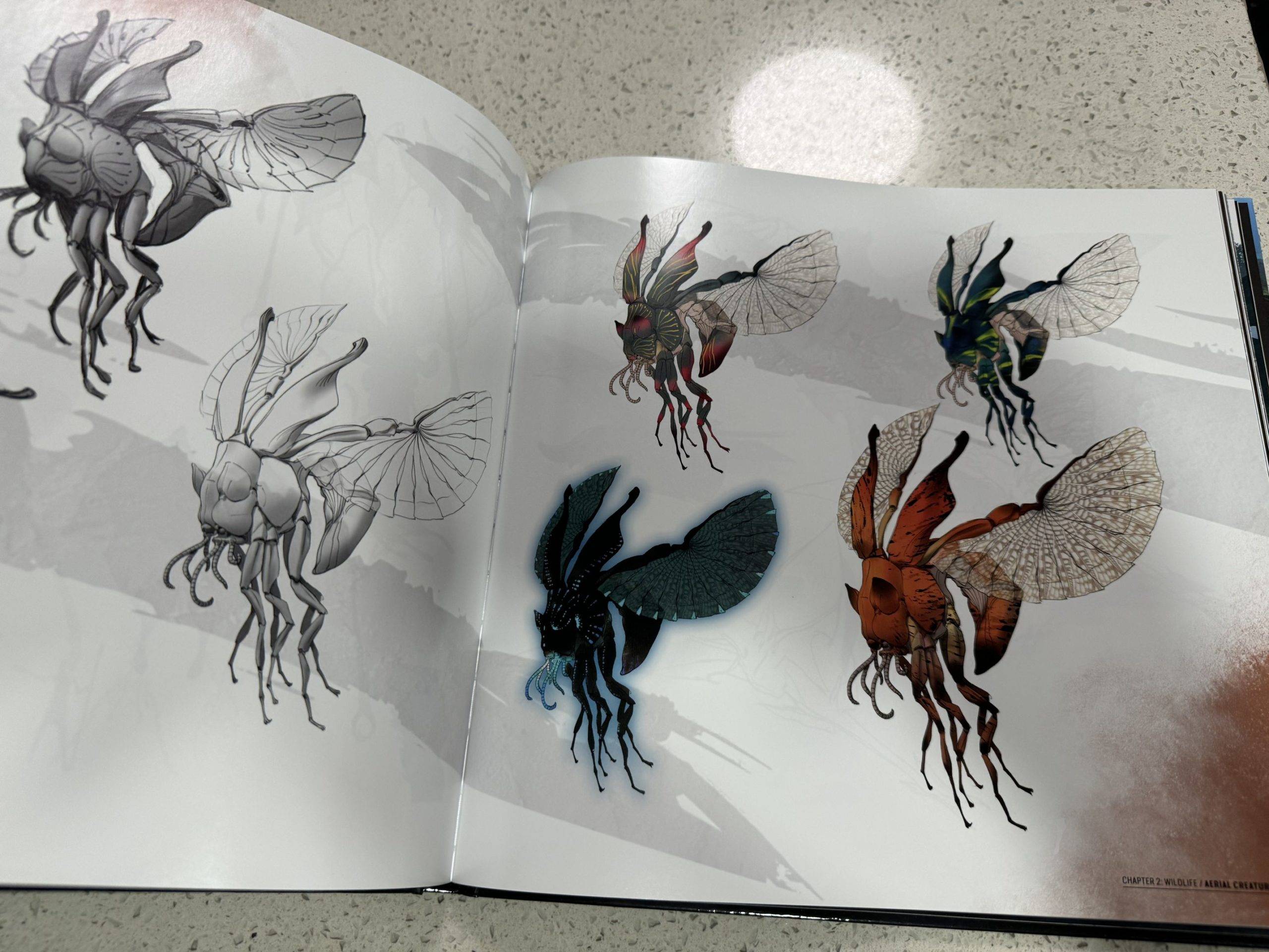 《阿凡达:潘多拉边境 》典藏版开箱 超细致的纳美人模型!