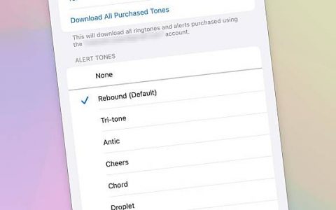iOS 17.2 终可更改默认通知声 用户现可自由选择