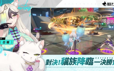猫之城 | 如何使用辅助武装？ （新手必看）