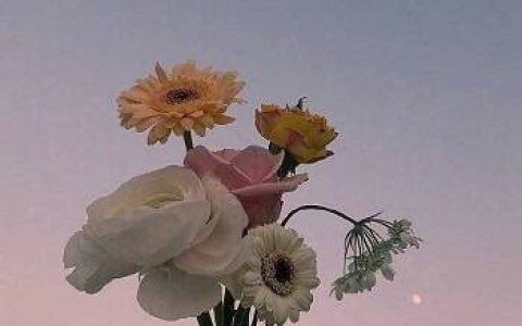 什么游戏一天能赚50元？推荐每天能赚30—50元的游戏软件