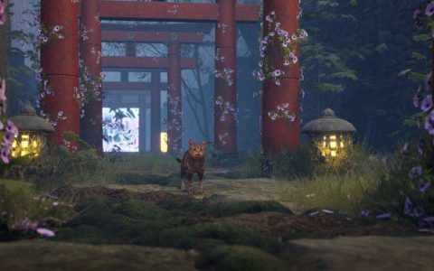 开放世界猫模拟器 《Super Cat Simulator》漫步神秘猫岛寻宝玩小游戏解谜
