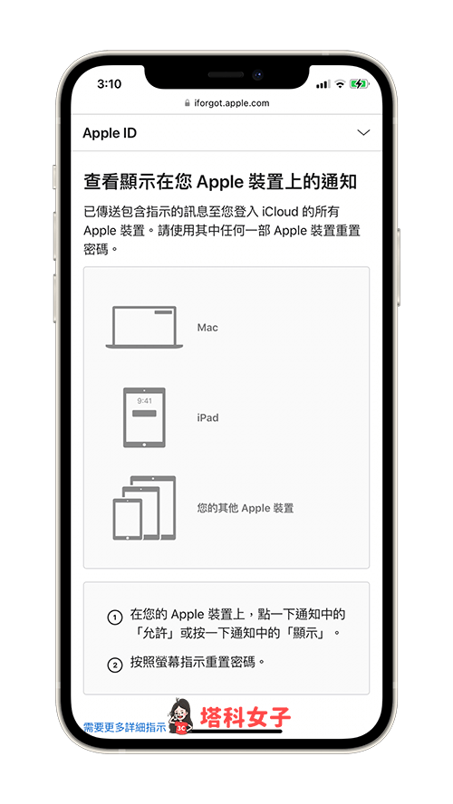 使用 Apple ID 复原网页：依照指示完成验证
