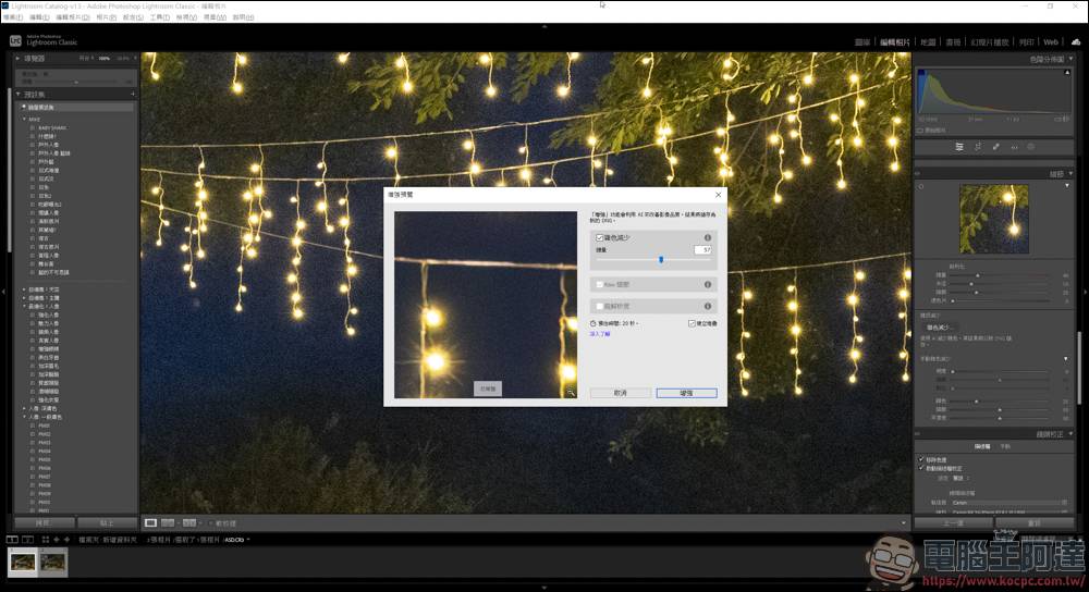 新版的 Lightroom AI 杂色减少功能，一键除噪点还能保有大量细节 - 电脑王阿达