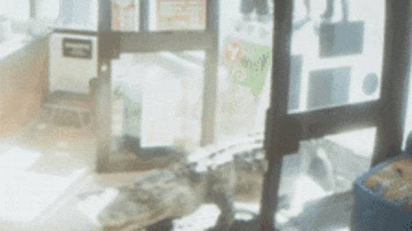 毛发、钞票、水 《GTA VI》预告中不容忽视的细节