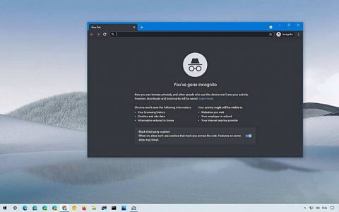 Google Chrome 无痕模式集体诉讼 与消费者达成初步和解