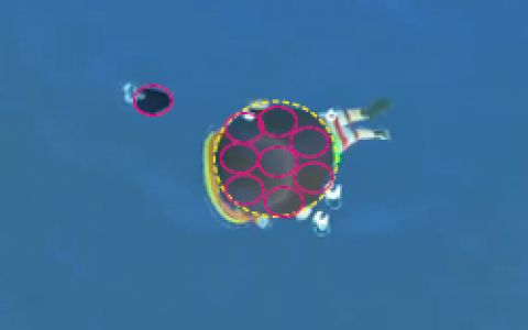 动森海洋生物判断方法-如何加速刷珍珠（海洋生物出现特征一览表）