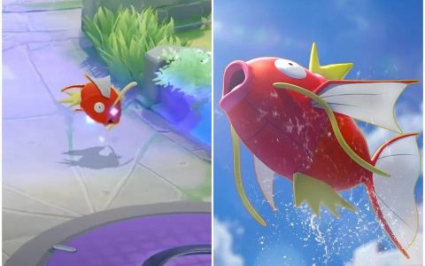 《宝可梦大集结》鲤鱼王参战！ 「一直跳就能进化」被封真正躺分角