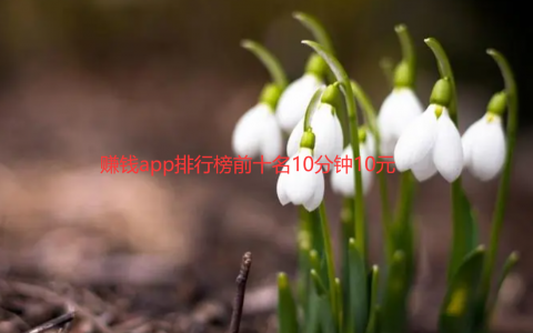 赚钱app排行榜前十名10分钟10元