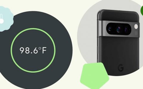 Google 一月功能升级 要为 Pixel 8 Pro 加入人体体温测量功能
