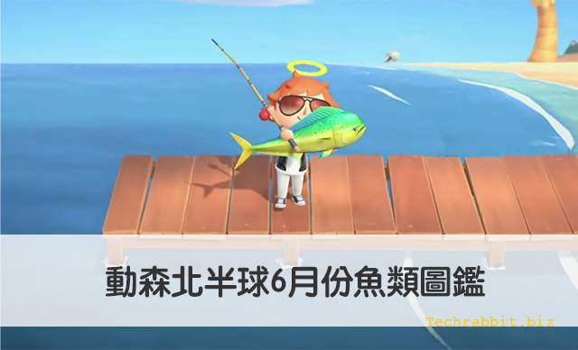 动森北半球6月份鱼类图鉴