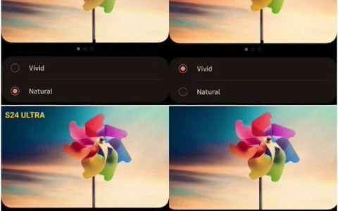 Galaxy S24 系列一出就中BUG，「鲜艳模式」颜色根本没变