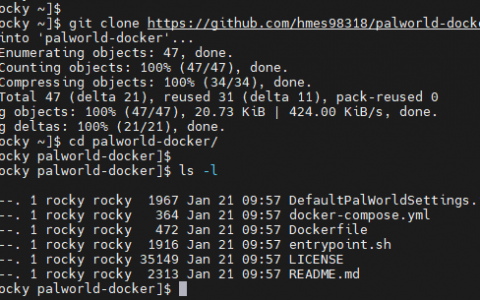 幻兽帕鲁使用 Docker 容器化架设服务器
