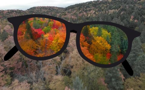 Colorblind Filters：帮助色盲用户的 GNOME 扩展