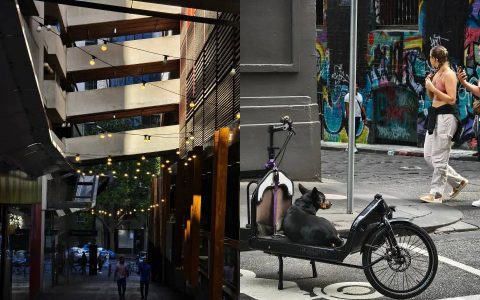 评测|vivo X100 Pro 相机、AI 实测：蔡司 APO 远摄不负所望，蓝心小 V 还有待完善