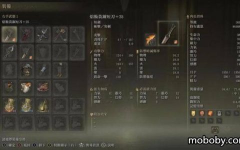 艾尔登法环：黄铜短刀盗贼纯信仰流攻略