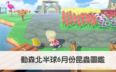 动森6月份昆虫价格、出没地点、时间（北半球6月昆虫图鉴）