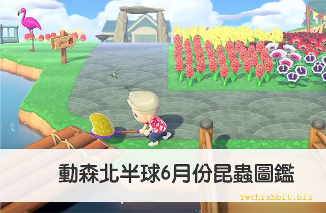 动森北半球6月昆虫图鉴
