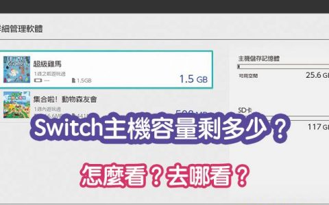 Switch主机容量剩多少？ 怎么看？ 去哪看？ （教程）