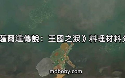 《塞尔达传说：王国之泪》料理材料分类