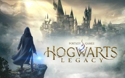虽然《霍格华兹的传承》获得成功，但华纳游戏部门仍希望有更多服务型游戏