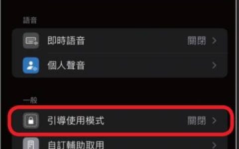 如何使用与关闭 iPhone 引导使用模式？