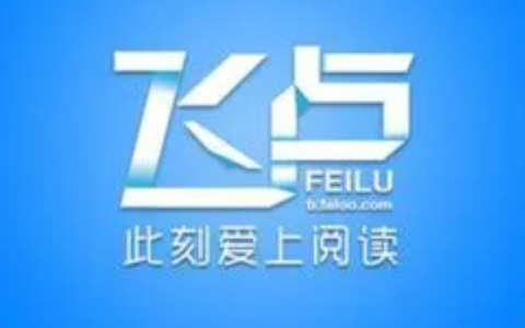 在飞卢小说网写小说要注意什么，在飞卢写文赚钱的必看