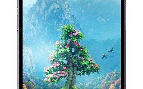 听完一场苹果移动应用创新赛的讲座，我感觉编程好像真的不难