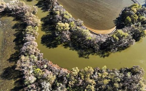 Apple宣布一系列环保新进展 针对全球洁净能源和水资源进一步投资