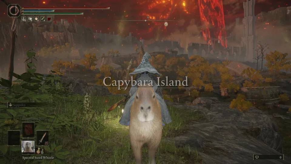 （图片来源：Nexus Mods / Capybara Island）