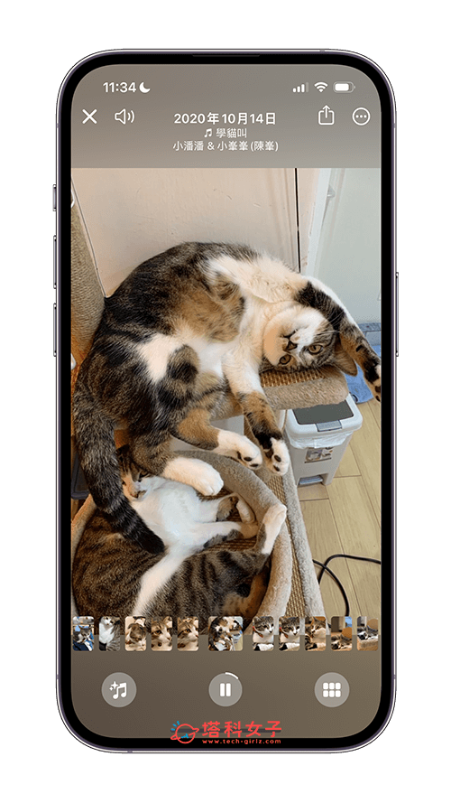 iPhone 照片加音乐教程，2 招为喜欢的照片或相簿加入背景音乐轮播