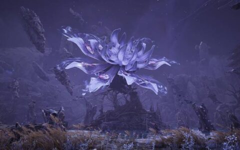 【万物契约】Infold Games 宣布动作 RPG 新作将于 2025 年启航！