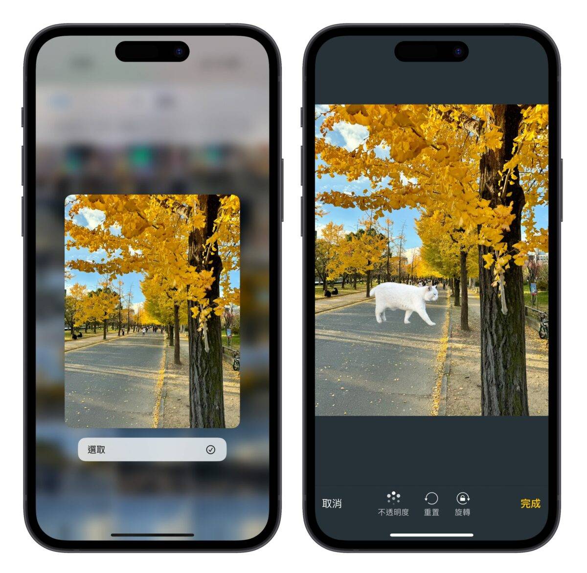 iPhone iOS 捷径 iPhone 照片去背合成捷径