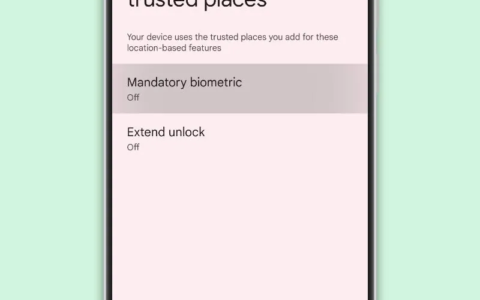 Android 15 新保护功能，可设定部分 App 需要生物认证才可打开