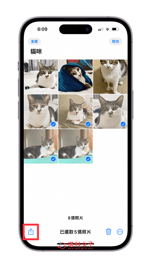 iPhone 照片去背捷径脚本，让你一键为照片去背景并储存 (iOS16) 第4张