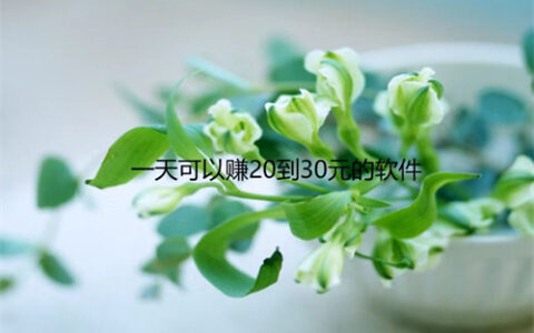 什么软件一天能挣20元到30元？每天能赚20元到30元的软件