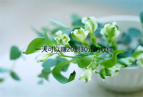 什么软件一天能挣20元到30元？每天能赚20元到30元的软件 第1张