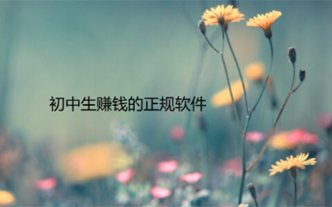适合初中生赚钱的正规软件（适合未成年中学生赚零花钱的软件）