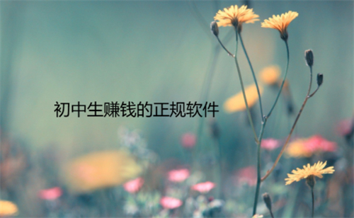 适合初中生赚钱的正规软件（适合未成年中学生赚零花钱的软件） 第1张