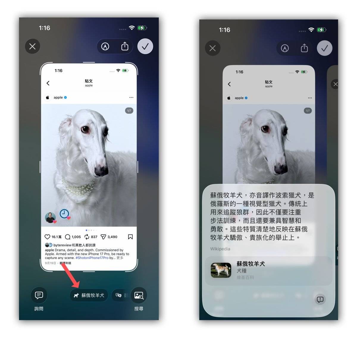 Apple Intelligence 视觉智能 Visual Intelligence Apple Intelligence 视觉智能