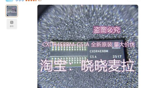 CXMT DDR5 颗粒正式曝光？