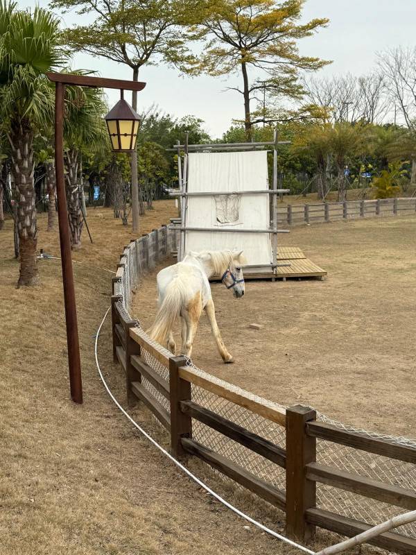 iPhone日系相片如何调色？ 营造日系底片感一键套用技巧附十大调色参数